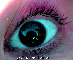 REFLECTIONS by Andres Larraz 